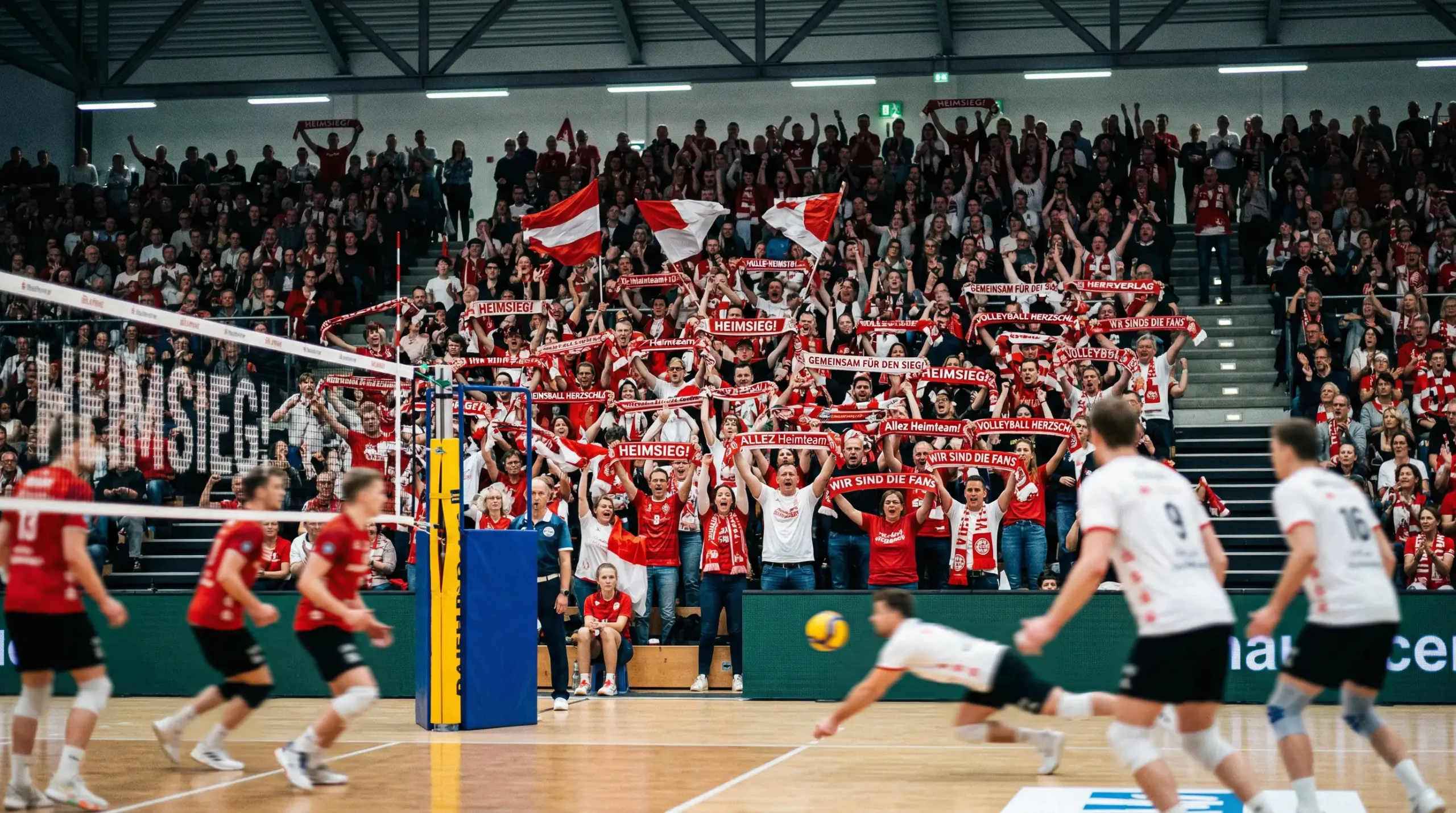 Volleyball-Publikum in einer vollen Halle bei einem Bundesliga-Heimspiel